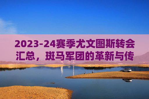 2023-24赛季尤文图斯转会汇总，斑马军团的革新与传承，2023-24赛季尤文图斯转会，斑马军团的革新与传承