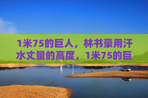 1米75的巨人，林书豪用汗水丈量的高度，1米75的巨人，林书豪汗水丈量高度