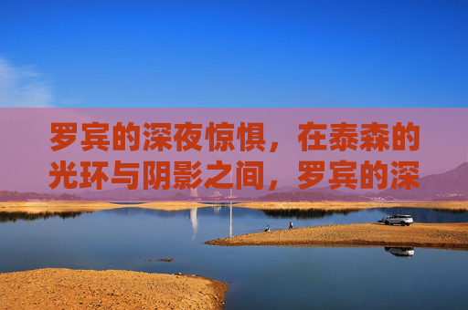 罗宾的深夜惊惧,在泰森的光环与阴影之间,罗宾的深夜惊惧,泰森光环与阴影之间