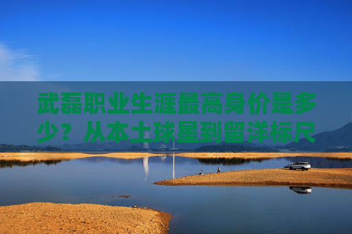 武磊职业生涯最高身价是多少?从本土球星到留洋标尺的身价变迁,武磊职业生涯最高身价,从本土球星到留洋标尺的身价变迁