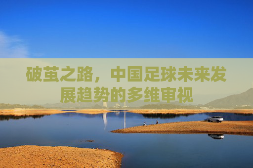 破茧之路，中国足球未来发展趋势的多维审视