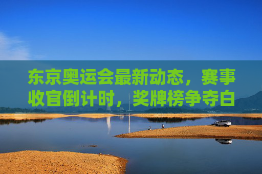 东京奥运会最新动态，赛事收官倒计时，奖牌榜争夺白热化，这些瞬间值得铭记，东京奥运会收官倒计时，奖牌榜白热化，这些瞬间值得铭记