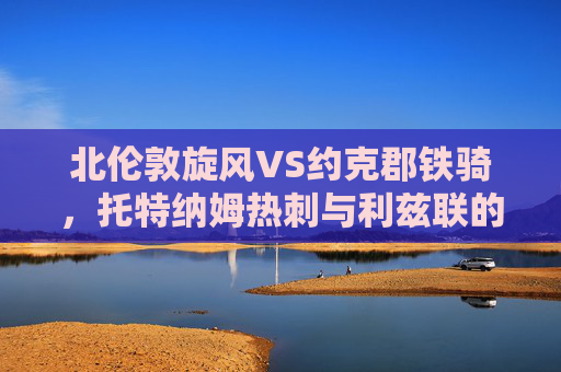 北伦敦旋风VS约克郡铁骑，托特纳姆热刺与利兹联的百年恩怨与激情碰撞，北伦敦旋风VS约克郡铁骑，百年恩怨激情碰撞