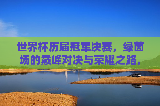 世界杯历届冠军决赛，绿茵场的巅峰对决与荣耀之路，绿茵巅峰对决，世界杯冠军的荣耀之路