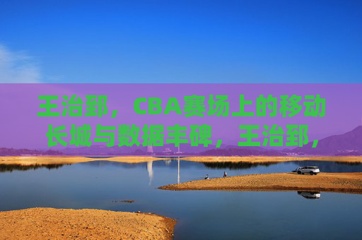 王治郅，CBA赛场上的移动长城与数据丰碑，王治郅，CBA移动长城与数据丰碑