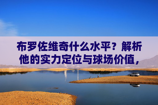 布罗佐维奇什么水平?解析他的实力定位与球场价值,布罗佐维奇水平,实力定位与球场价值解析
