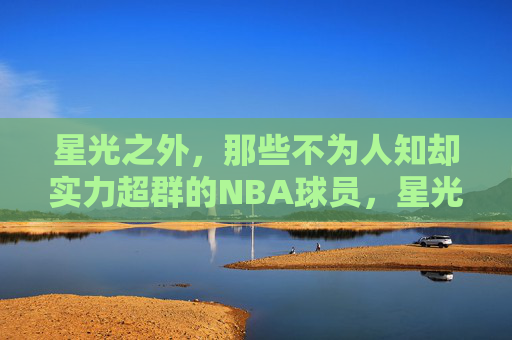 星光之外,那些不为人知却实力超群的NBA球员,星光之外的NBA实力悍将
