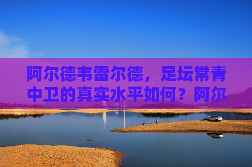 阿尔德韦雷尔德,足坛常青中卫的真实水平如何?阿尔德韦雷尔德,足坛常青中卫的真实水平如何?