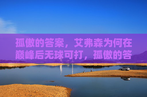 孤傲的答案,艾弗森为何在巅峰后无球可打,孤傲的答案,艾弗森巅峰后缘何无球可打