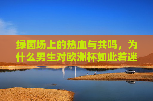 绿茵场上的热血与共鸣，为什么男生对欧洲杯如此着迷？男生对欧洲杯着迷，绿茵场热血共鸣