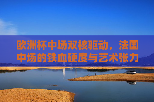 欧洲杯中场双核驱动，法国中场的铁血硬度与艺术张力，欧洲杯法国中场双核，铁血硬度与艺术张力
