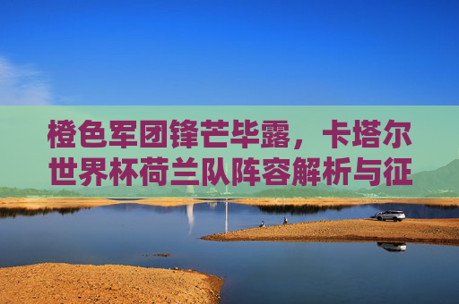 橙色军团锋芒毕露，卡塔尔世界杯荷兰队阵容解析与征程回顾，橙色军团锋芒毕露，卡塔尔世界杯荷兰队阵容解析与征程回顾