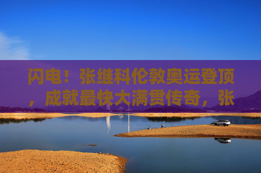 闪电!张继科伦敦奥运登顶,成就最快大满贯传奇,张继科伦敦奥运登顶,成就最快大满贯传奇