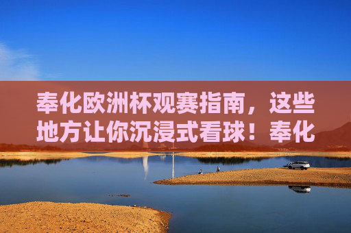 奉化欧洲杯观赛指南,这些地方让你沉浸式看球!奉化欧洲杯沉浸式观赛指南