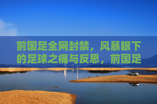 前国足全网封禁，风暴眼下的足球之痛与反思，前国足封禁风暴，足球之痛与深层反思