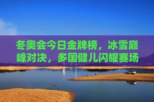 冬奥会今日金牌榜，冰雪巅峰对决，多国健儿闪耀赛场，今日冬奥会金牌榜，冰雪巅峰对决，多国健儿闪耀赛场