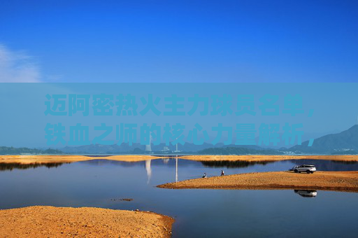迈阿密热火主力球员名单,铁血之师的核心力量解析,迈阿密热火铁血之师,主力核心力量解析