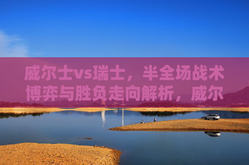 威尔士vs瑞士，半全场战术博弈与胜负走向解析，威尔士vs瑞士，半全场战术博弈与胜负走向解析