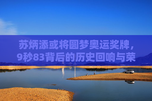 苏炳添或将圆梦奥运奖牌,9秒83背后的历史回响与荣耀时刻,苏炳添9秒83,奥运奖牌梦圆的历史回响与荣耀时刻