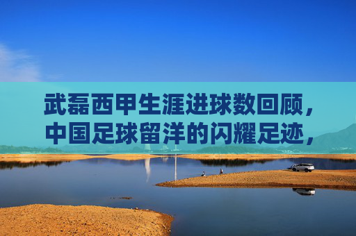 武磊西甲生涯进球数回顾，中国足球留洋的闪耀足迹，武磊西甲进球，中国足球留洋的闪耀足迹