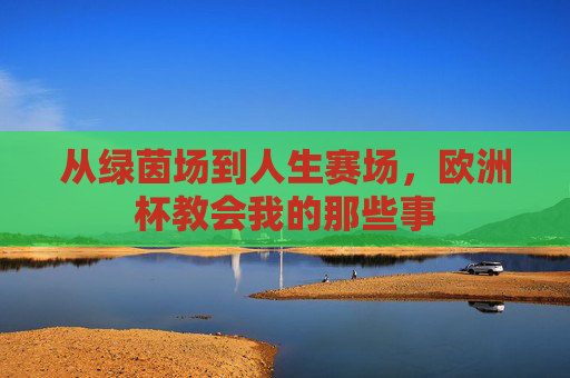 从绿茵场到人生赛场，欧洲杯教会我的那些事