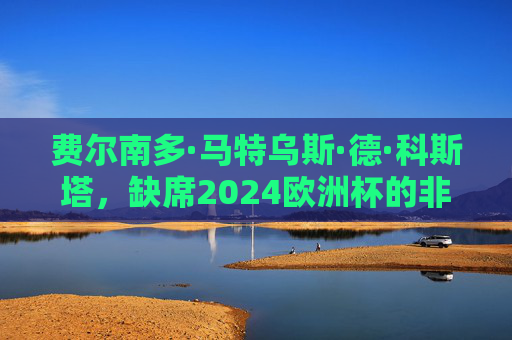 费尔南多·马特乌斯·德·科斯塔，缺席2024欧洲杯的非典型答案，费尔南多·马特乌斯·德·科斯塔，缺席2024欧洲杯的非典型答案