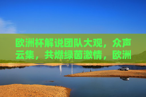 欧洲杯解说团队大观，众声云集，共燃绿茵激情，欧洲杯解说众声云集，共燃绿茵激情