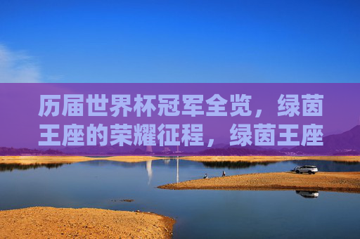 历届世界杯冠军全览，绿茵王座的荣耀征程，绿茵王座，历届世界杯冠军荣耀全览