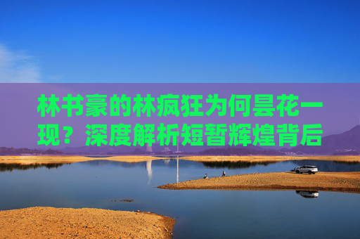 林书豪的林疯狂为何昙花一现？深度解析短暂辉煌背后的多重因素，林疯狂昙花一现，短暂辉煌背后的多重因素