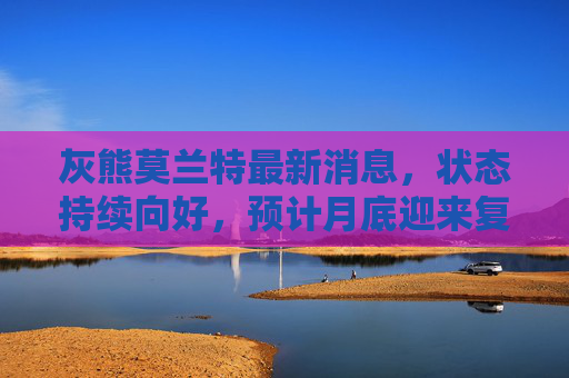 灰熊莫兰特最新消息，状态持续向好，预计月底迎来复出关键期，灰熊莫兰特状态持续向好 月底复出迎关键期