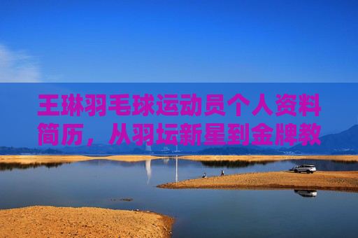 王琳羽毛球运动员个人资料简历，从羽坛新星到金牌教练的蜕变之路，王琳，从羽坛新星到金牌教练的蜕变之路