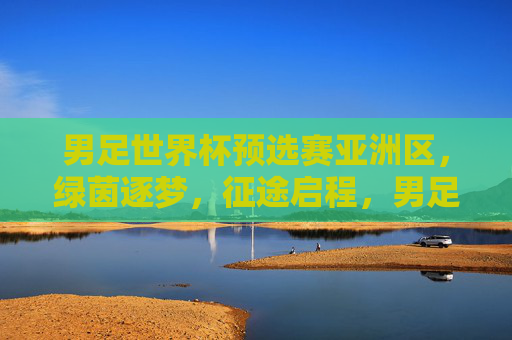 男足世界杯预选赛亚洲区，绿茵逐梦，征途启程，男足世界杯预选赛亚洲区，绿茵逐梦，征途启程