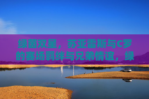 绿茵双星，苏亚雷斯与C罗的赛场羁绊与兄弟情谊，绿茵双星苏亚雷斯与C罗，赛场羁绊与兄弟情谊