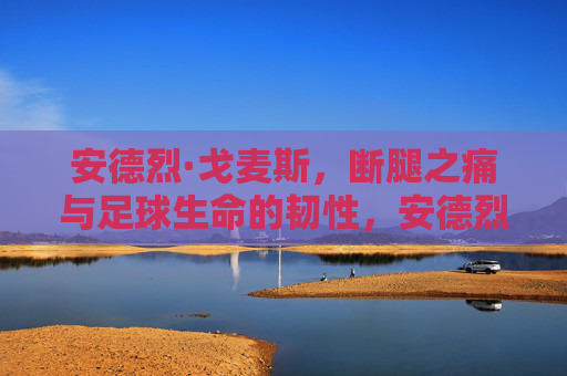 安德烈·戈麦斯，断腿之痛与足球生命的韧性，安德烈·戈麦斯的断腿之痛与足球生命韧性