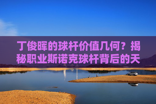 丁俊晖的球杆价值几何？揭秘职业斯诺克球杆背后的天价与匠心，丁俊晖球杆，职业斯诺克球杆的天价与匠心