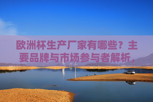 欧洲杯生产厂家有哪些?主要品牌与市场参与者解析,欧洲杯生产厂家主要品牌与市场参与者解析