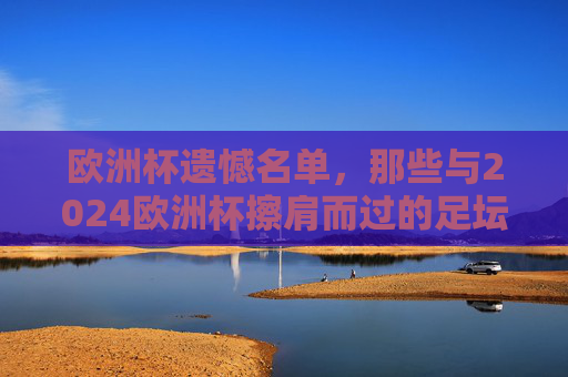 欧洲杯遗憾名单，那些与2024欧洲杯擦肩而过的足坛劲旅，2024欧洲杯遗憾名单，擦肩而过的足坛劲旅