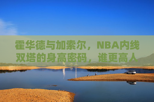 霍华德与加索尔，NBA内线双塔的身高密码，谁更高人一等？霍华德VS加索尔，NBA双塔身高密码，谁更高人一等？