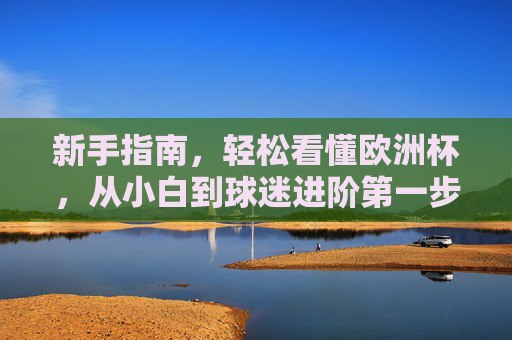 新手指南，轻松看懂欧洲杯，从小白到球迷进阶第一步，欧洲杯新手指南，从小白到球迷的轻松进阶第一步