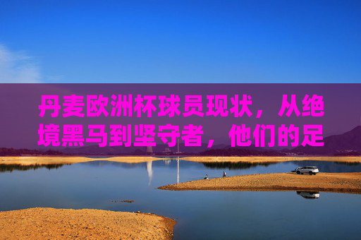 丹麦欧洲杯球员现状，从绝境黑马到坚守者，他们的足球故事未完待续，丹麦欧洲杯，从绝境黑马到坚守者，足球故事未完待续