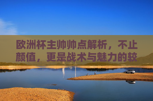 欧洲杯主帅帅点解析，不止颜值，更是战术与魅力的较量，欧洲杯主帅帅点解析，颜值之外，战术与魅力的较量