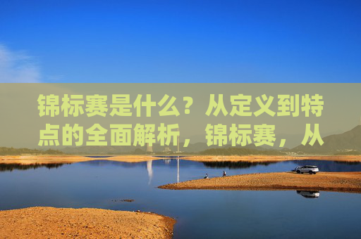 锦标赛是什么？从定义到特点的全面解析，锦标赛，从定义到特点的全面解析