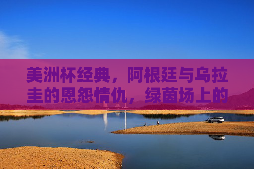 美洲杯经典，阿根廷与乌拉圭的恩怨情仇，绿茵场上的南美双雄对决，南美双雄恩怨对决，阿根廷乌拉圭美洲杯经典