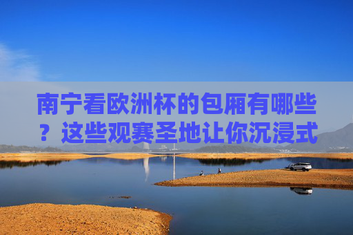 南宁看欧洲杯的包厢有哪些？这些观赛圣地让你沉浸式狂嗨，南宁欧洲杯包厢，沉浸式狂嗨观赛圣地