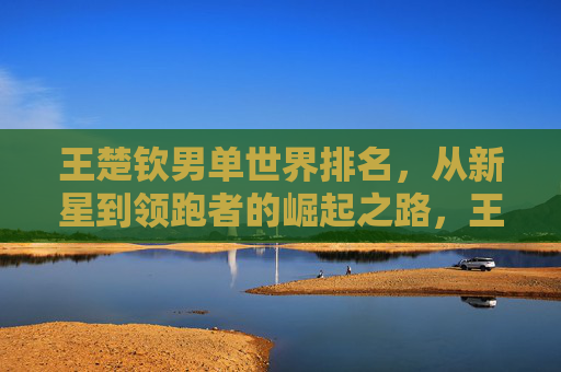 王楚钦男单世界排名，从新星到领跑者的崛起之路，王楚钦，从新星到领跑者的男单崛起之路