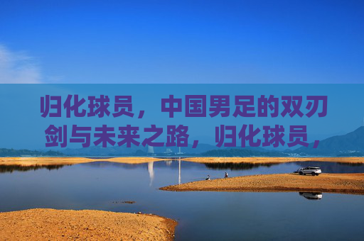 归化球员，中国男足的双刃剑与未来之路，归化球员，中国男足的双刃剑与未来之路
