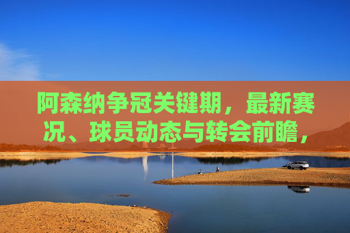 阿森纳争冠关键期，最新赛况、球员动态与转会前瞻，阿森纳争冠关键期，赛况、球员动态及转会前瞻