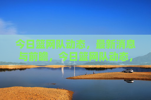 今日篮网队动态，最新消息与前瞻，今日篮网队动态，最新消息与前瞻