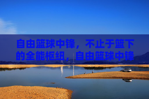 自由篮球中锋，不止于篮下的全能枢纽，自由篮球中锋，不止篮下的全能枢纽