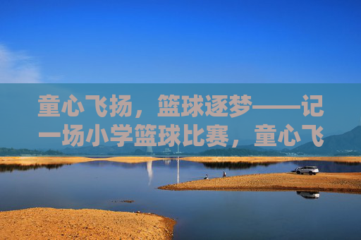 童心飞扬，篮球逐梦——记一场小学篮球比赛，童心飞扬，篮球逐梦